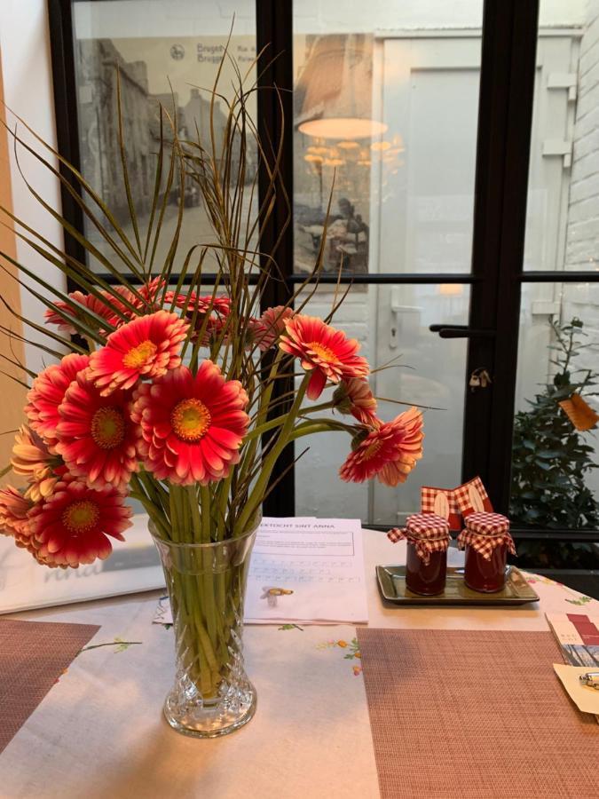 Guestsuite Lady Anna Brugia Zewnętrze zdjęcie