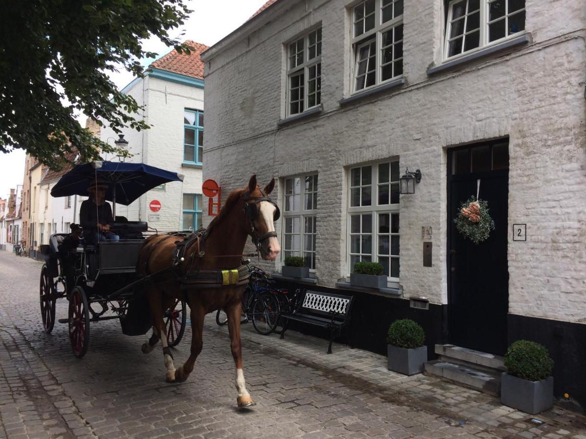 Guestsuite Lady Anna Brugia Zewnętrze zdjęcie