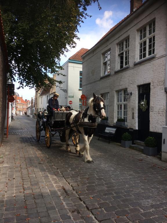 Guestsuite Lady Anna Brugia Zewnętrze zdjęcie